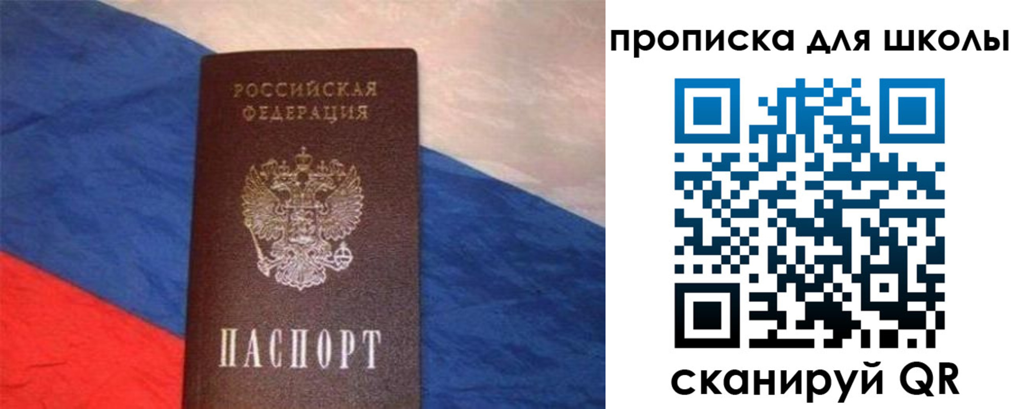 прописка поиск в Ельне